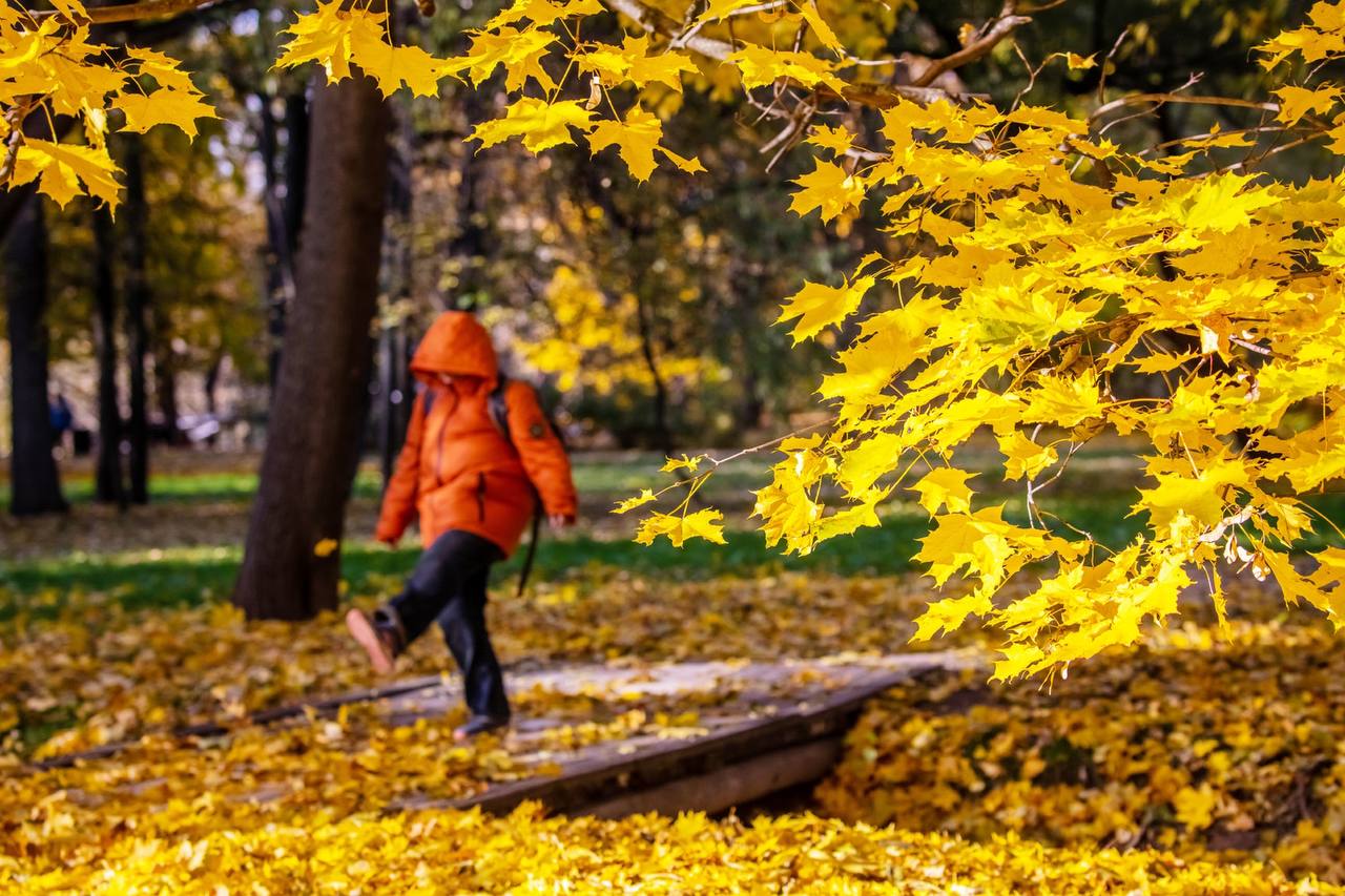 🥶Сегодня последний день бабьего лета в Москве
Со слов синоптиков, в пятницу резко похолодает до +12-14 градусов
При этом ожидаются кратковременные дожди🌧
📲Подпишитесь на Вдвижении | Сетка — социальная сеть от hh.ru
