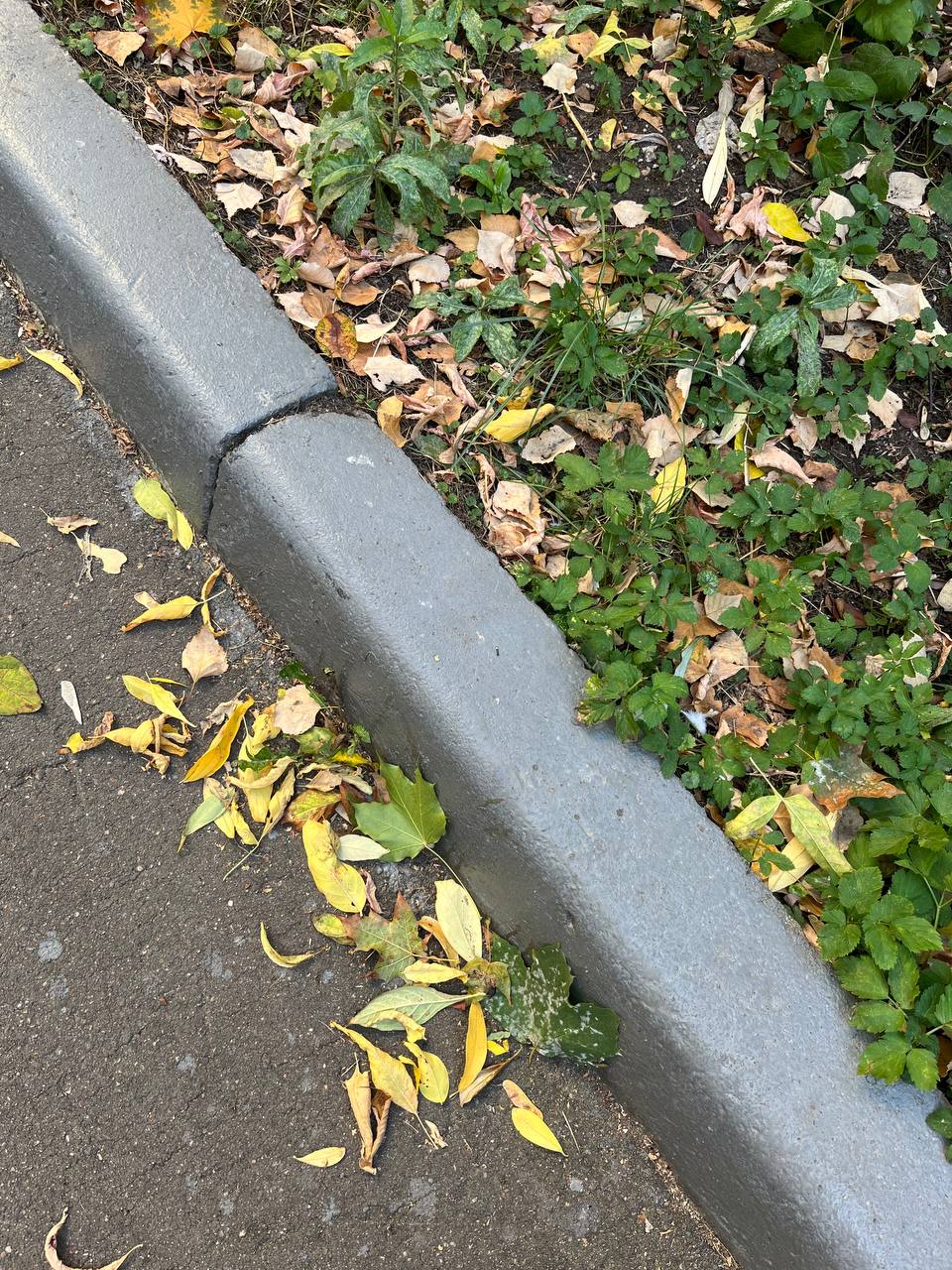 🌟🌟 Мэгги наконец-то вышла замуж, и её муж - это нечто.. | Сетка — социальная сеть от hh.ru