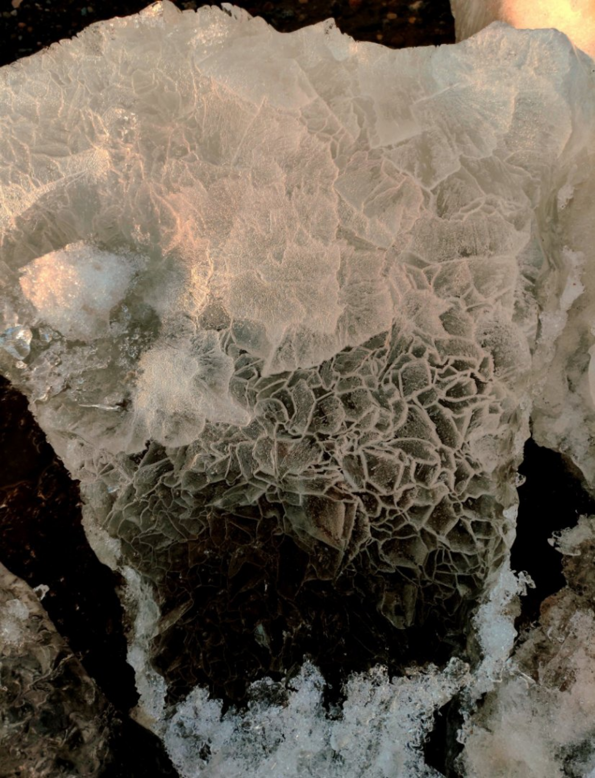 Сетка — социальная сеть от hh.ru