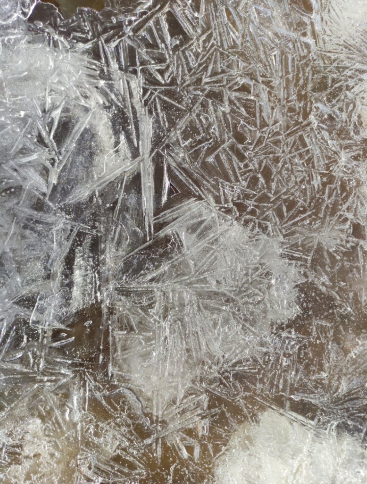 Сетка — социальная сеть от hh.ru