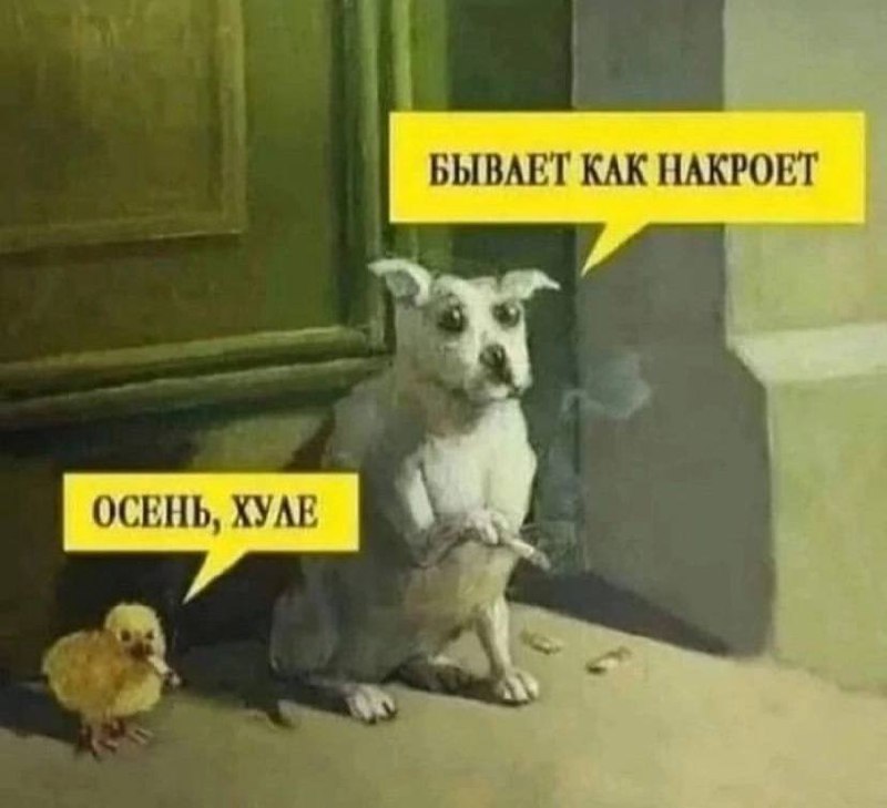 Сетка — социальная сеть от hh.ru