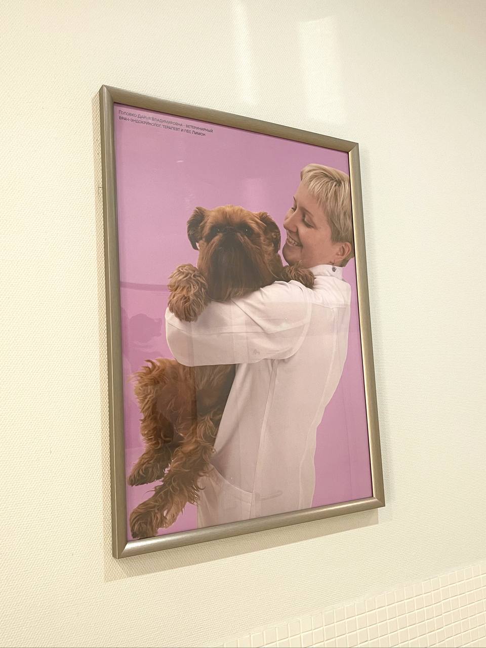📍ветклиника vet union
вчера с Хлопой были в ветеринарке и очень захотелось поделитесь мелочами, которые меня там порадовали:
• фотографии врачей с питомцами для роста лояльности и доверия клиентов;
• ... | Сетка — социальная сеть от hh.ru