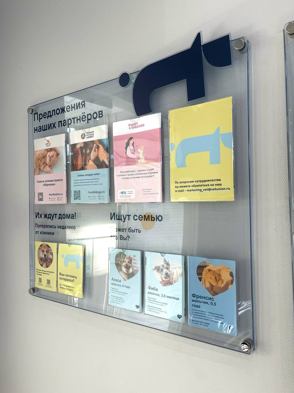 📍ветклиника vet union
вчера с Хлопой были в ветеринарке и очень захотелось поделитесь мелочами, которые меня там порадовали:
• фотографии врачей с питомцами для роста лояльности и доверия клиентов;
• ... | Сетка — социальная сеть от hh.ru