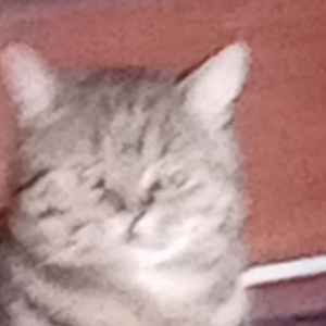 Данияр Гараев