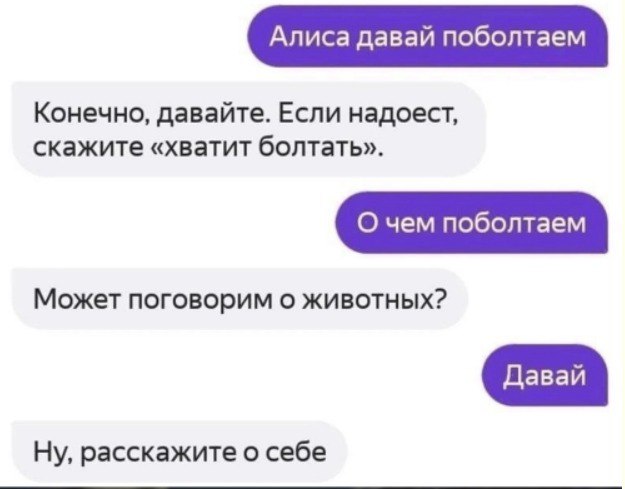 😝GenAI - наше всё! троллить нас уже научились😂 | Сетка — социальная сеть от hh.ru
