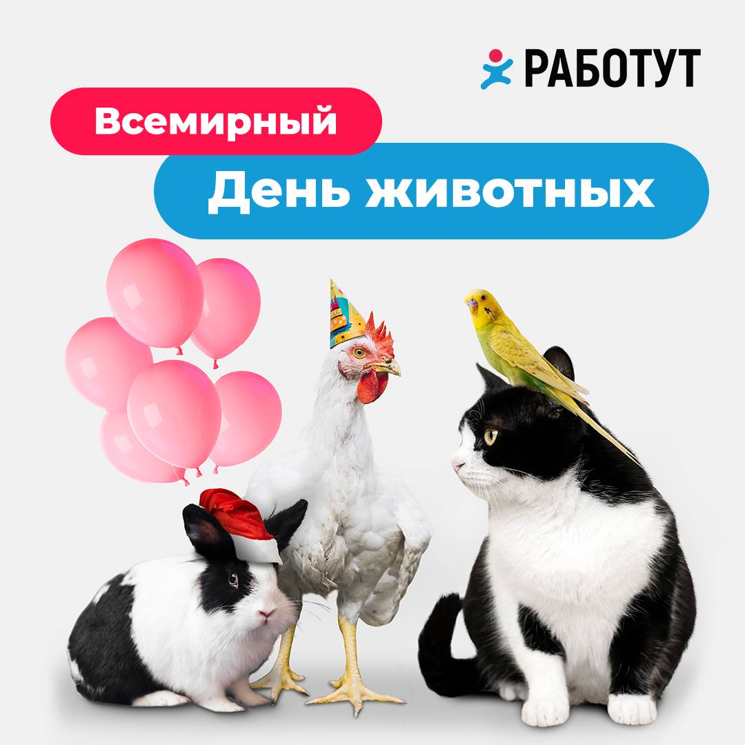 Сегодня отмечается всемирный день животных!😍
И мы хотим в очередной раз выделить наших волонтёров, которые устраивают благотворительные выезды в приюты! Они привозят корма и остаются, чтобы поиграть с... | Сетка — социальная сеть от hh.ru