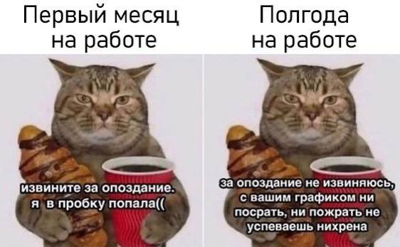 Собрали все посты недели в один:
➡️ кому нужна креативность
➡️ IT-мероприятия на ближайшие 3 месяца
➡️ наши соцсети
➡️ почему навыки продаж нужны всем
➡️ почему важно перед устройством на работу изуча... | Сетка — социальная сеть от hh.ru