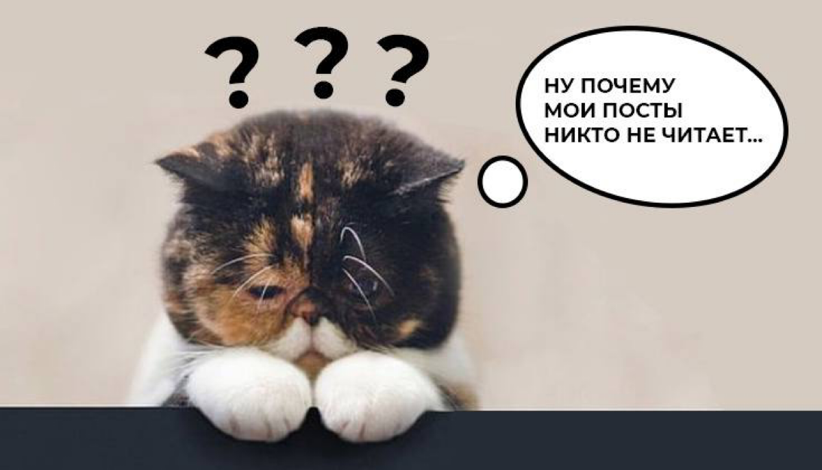 😏Почему ваш текст не читают? | Сетка — социальная сеть от hh.ru