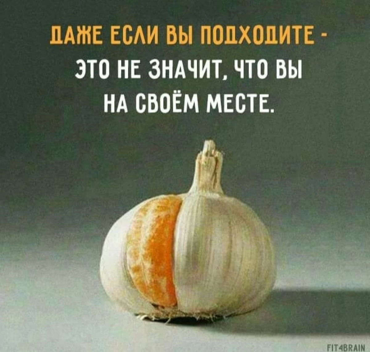 Отличная картинка, описывающая мое состояние | Сетка — социальная сеть от hh.ru