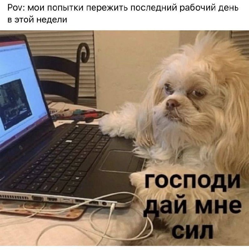 Хорошо, что когда работаешь на себя — есть всегда крутая возможность поработать без выходных 😇 | Сетка — социальная сеть от hh.ru