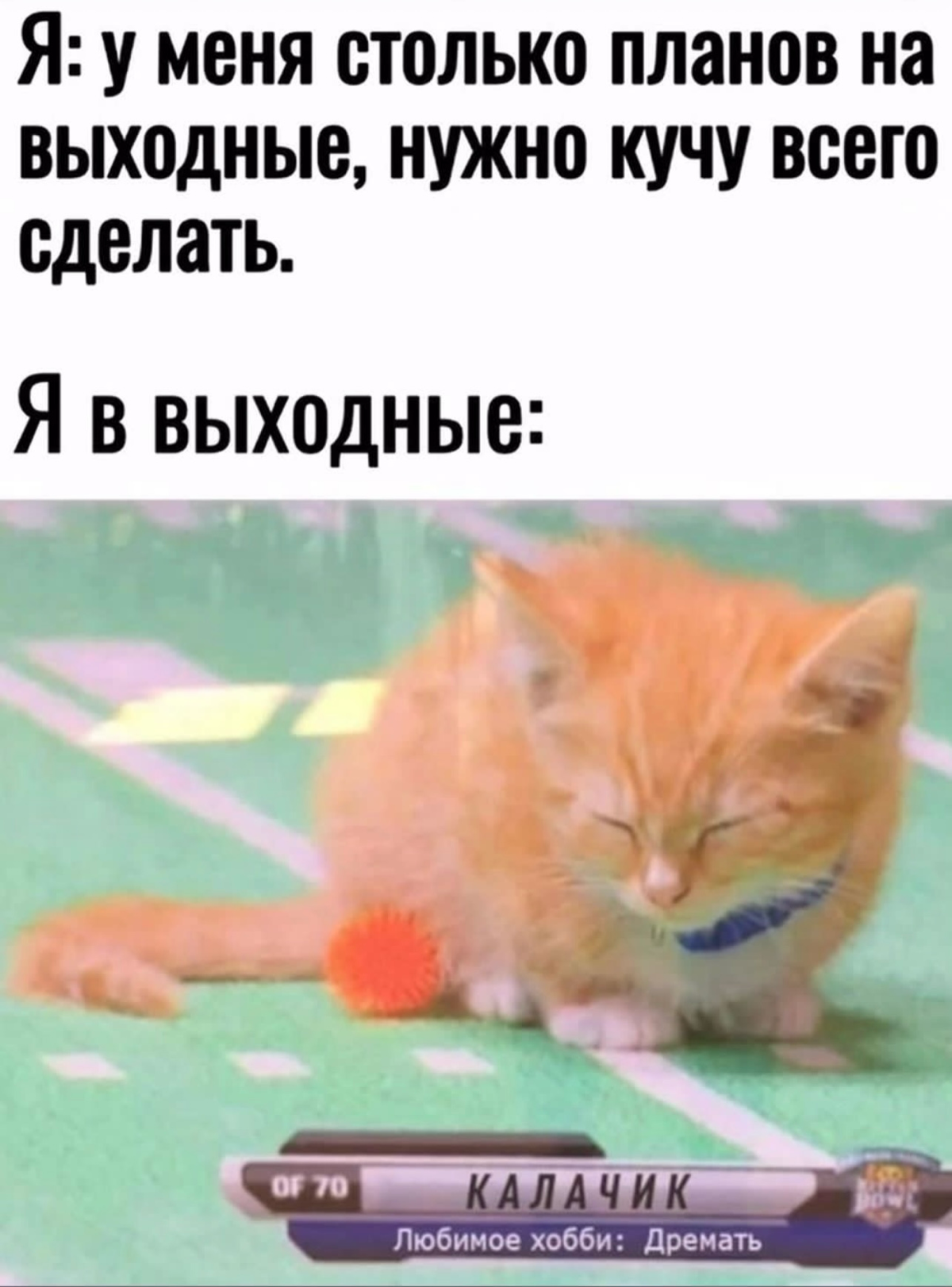 #ПланыНаВыходные #Выходные #яОбязательноВсеУспею #Калачик | Сетка — социальная сеть от hh.ru