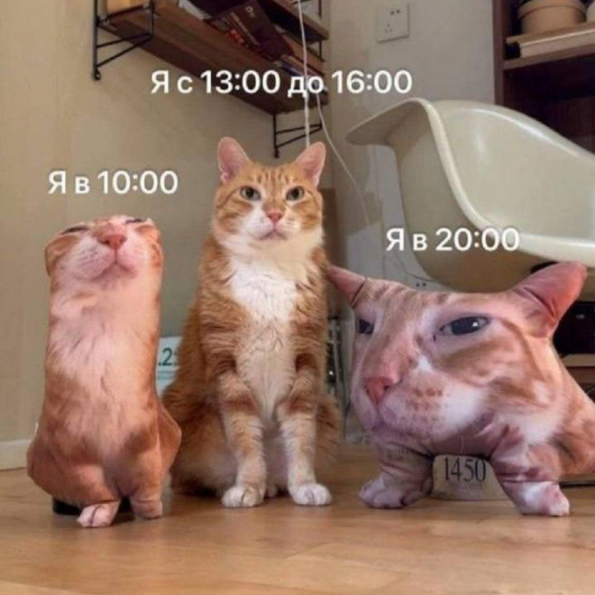 А в какое время вы эффективней?😺 | Сетка — социальная сеть от hh.ru