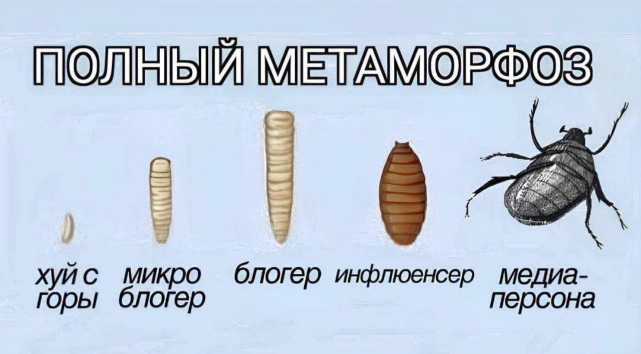 Коллеги, давайте не путать! | Сетка — социальная сеть от hh.ru