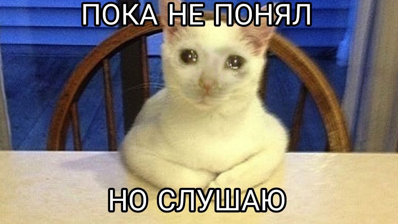Когда объясняешь джуну его первую задачу
➡️ отправь коллеге мем в телеге | Сетка — социальная сеть от hh.ru