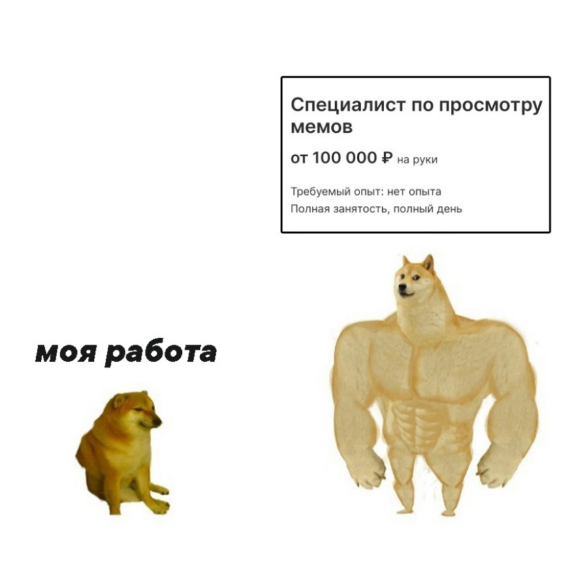 Это не мы если что ищем😂 | Сетка — социальная сеть от hh.ru