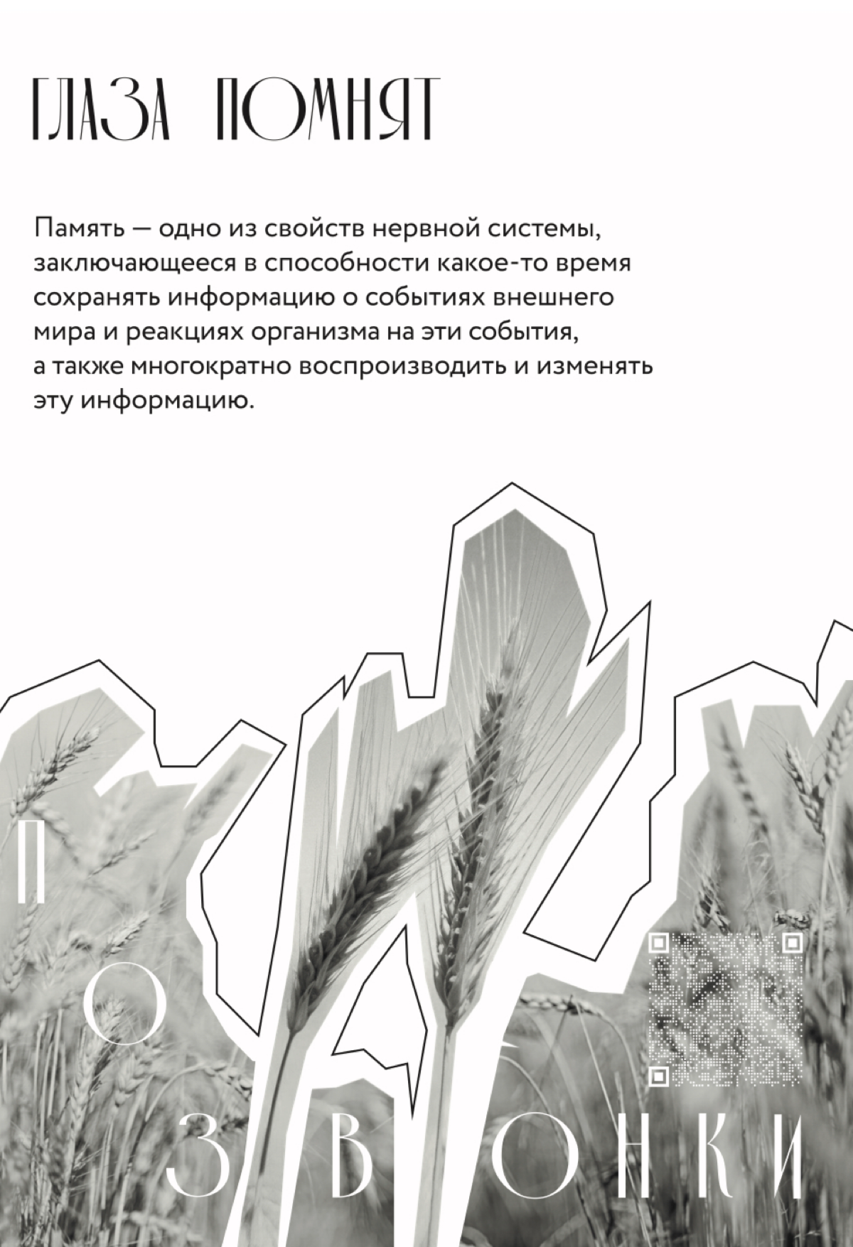 Великая сила возможностей соединять текст и образ, чтобы передавать свои или чужие чувства. Периодически забывая о старых форматах, мы лишаем себя огромного количества удовольствий | Сетка — социальная сеть от hh.ru
