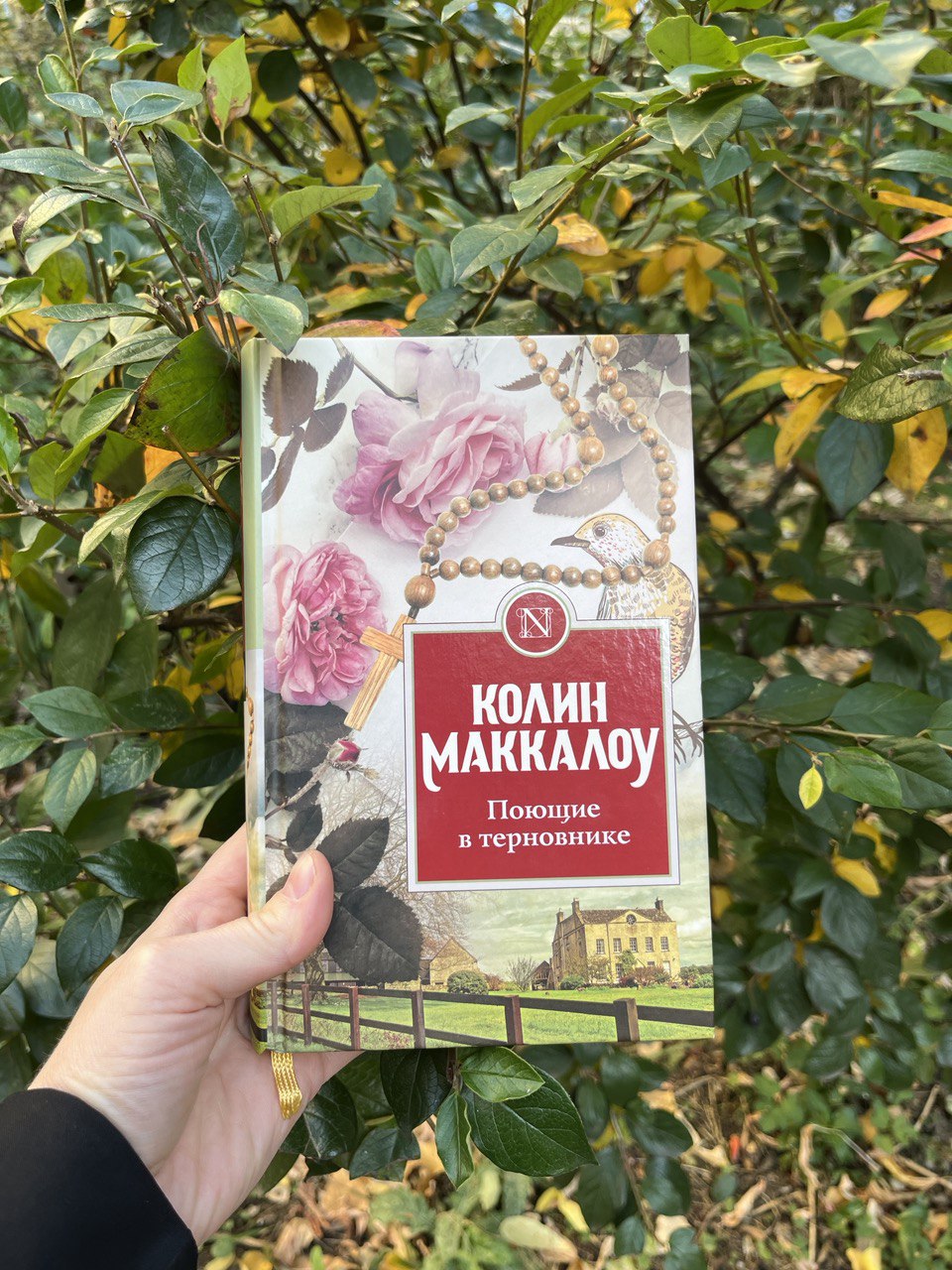 🤩 🤩 почему появление кроликов в Австралии привело к экологической катастрофе?
для меня самое интересное в романе «Поющие в терновнике» Колин Маккалоу - вы не поверите! - не сюжет!
а контекст 🌟
безумно... | Сетка — социальная сеть от hh.ru