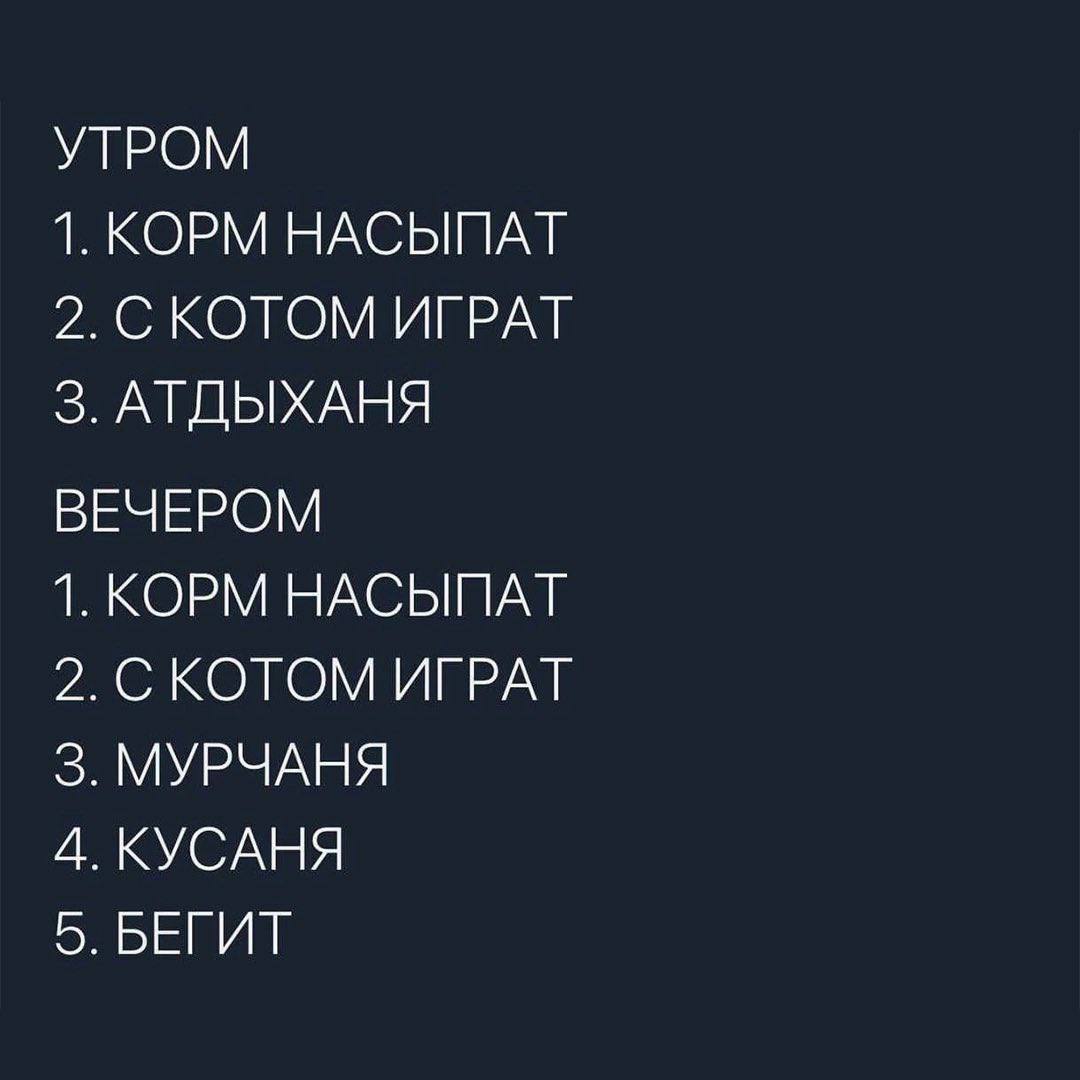 Идеального расписания дня не суще… | Сетка — социальная сеть от hh.ru
