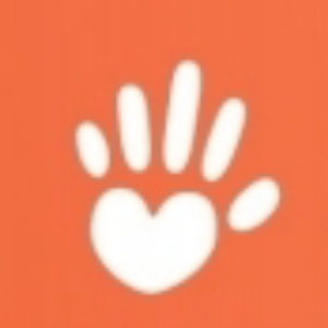 ЦИФРОВЫЕ НКО | от ДОБСТЕР. РФ