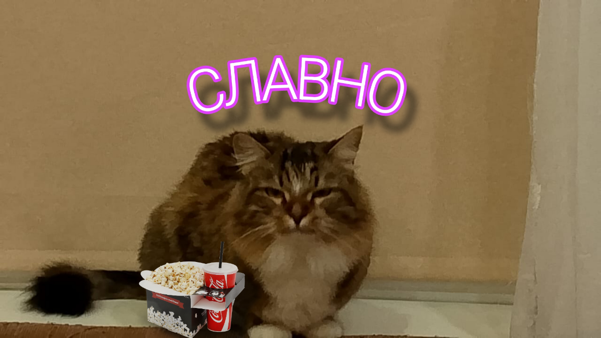 Привет)
Полагаю стоит представиться. За свою жизнь я пробовал кучу всего и в плане карьеры тоже. От дворника до директора филиала | Сетка — социальная сеть от hh.ru
