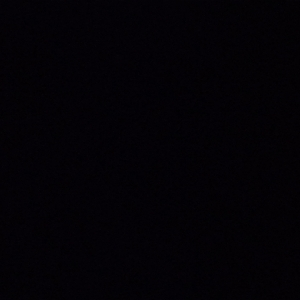 Ван Дам | Сетка — социальная сеть от hh.ru