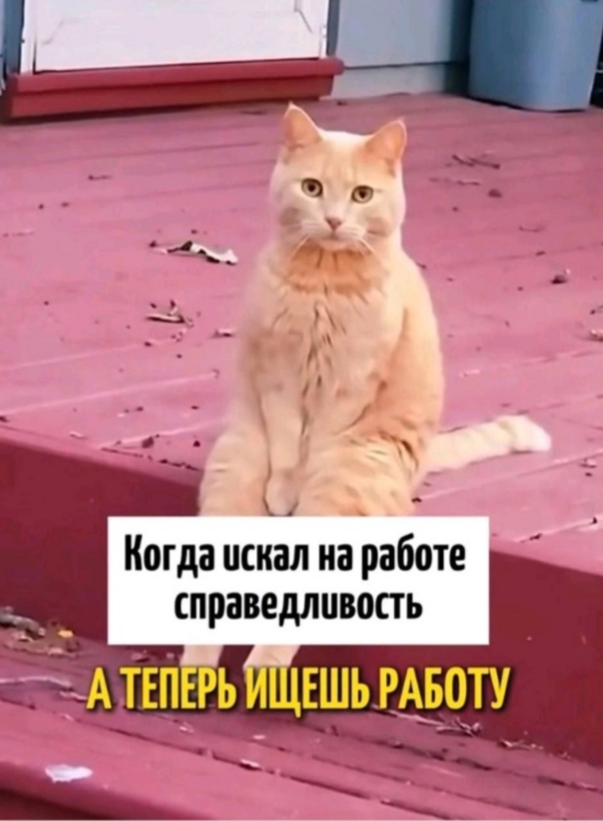 #mem #humor #мем #юмор #memes | Сетка — социальная сеть от hh.ru