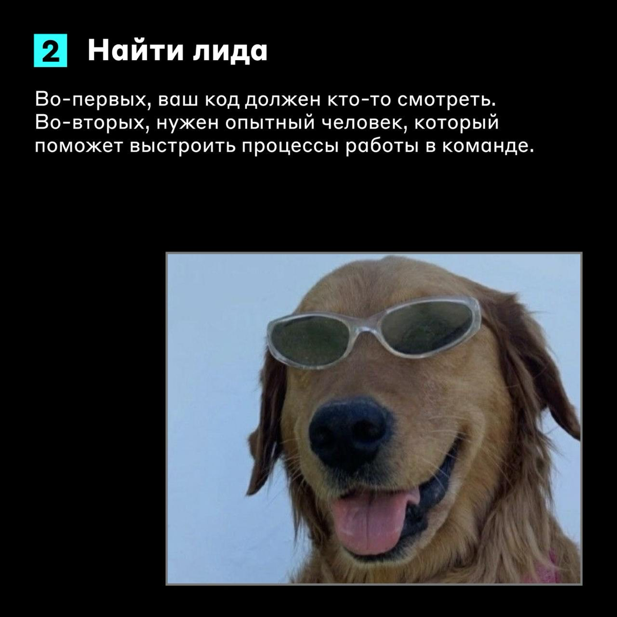 Выжимаем из pet-проекта максимум 👊
Обучение программированию похоже на единоборства: это сложный комплексный навык. Здесь есть свои боксёрские мешки — pet‑проекты | Сетка — социальная сеть от hh.ru