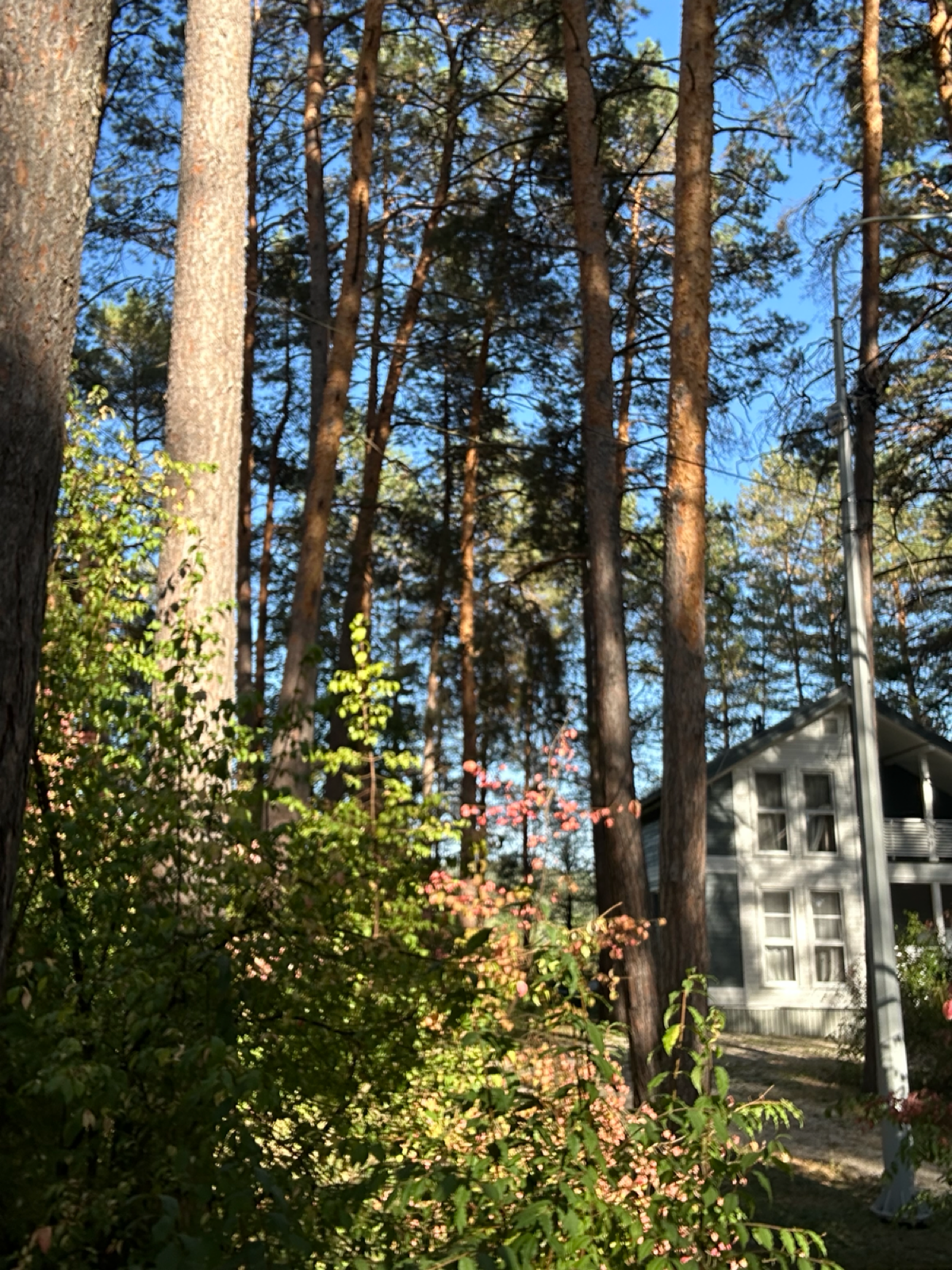 Такой кайф работать на природе в такую замечательную погоду 🍂
Теплая осень, вместе нам было хорошо ☀️ | Сетка — социальная сеть от hh.ru