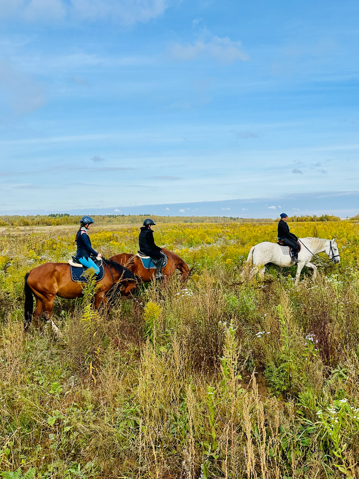 Осенние лошадки 🐴🍂❤️
Оригинальные идеи для свиданий, которые не оставят девушку равнодушной.
Приходите к нам на конные прогулки по адресу:
д | Сетка — социальная сеть от hh.ru