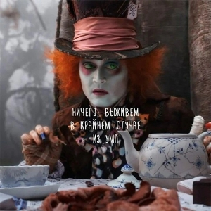 Алексей Волхов | Сетка — социальная сеть от hh.ru