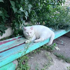 Полина Мельникова