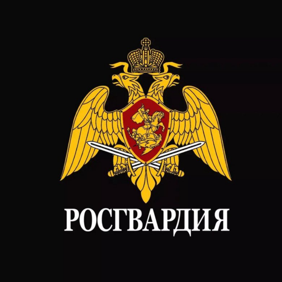 ПОПРАВКИ О ЧОД. от 04.08.2023г | Сетка — социальная сеть от hh.ru
