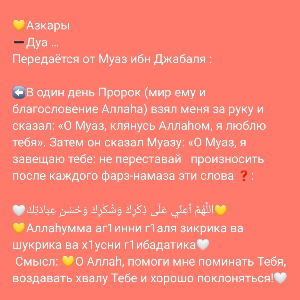 Патимат Дибирова