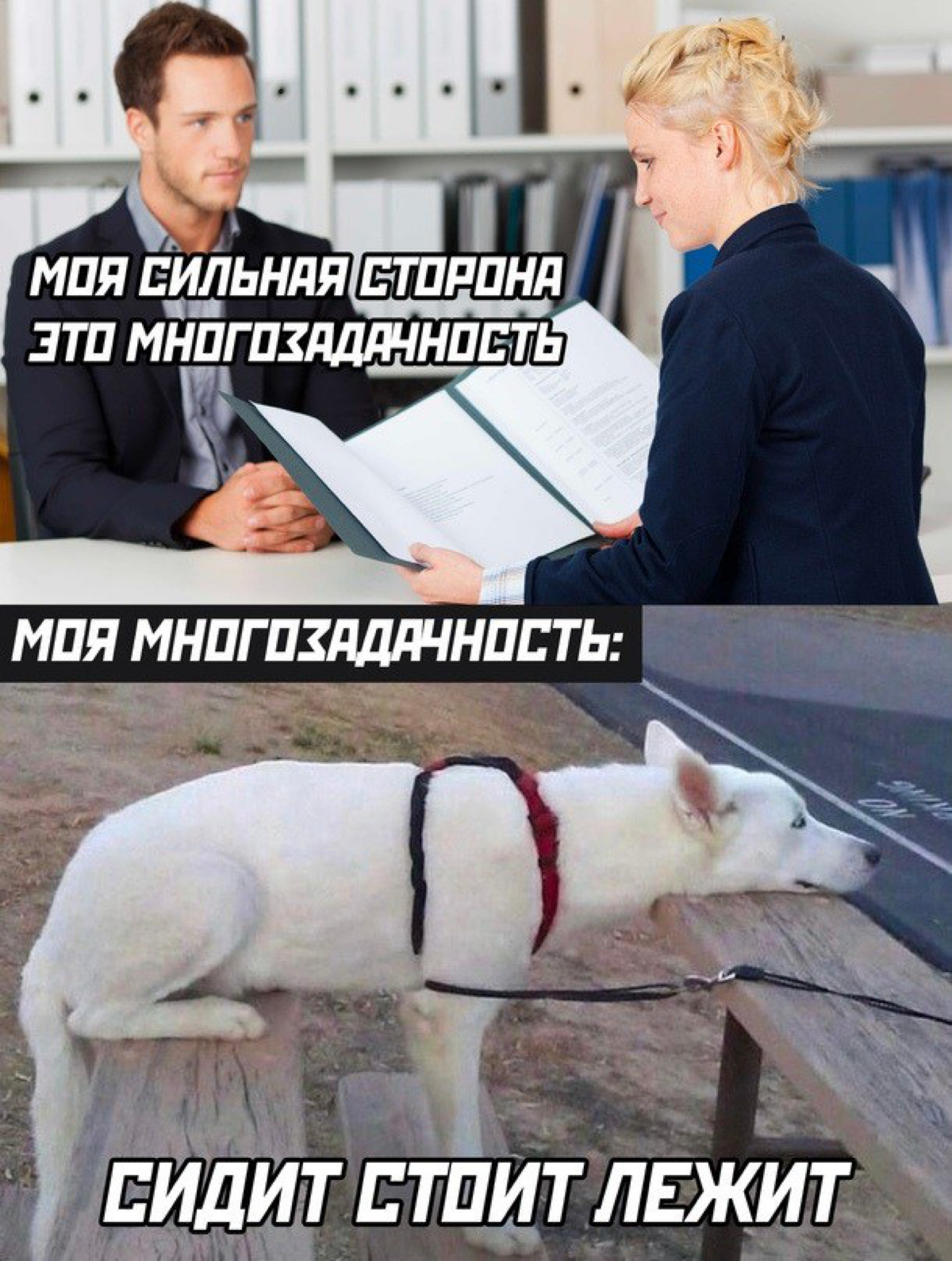 🎮 Почему гейм-дизайнер должен уметь всё?
Если вы когда-нибудь смотрели вакансии гейм-дизайнера, то наверняка замечали длинные списки требований: знание математики и экономики, опыт работы с игровыми д... | Сетка — социальная сеть от hh.ru