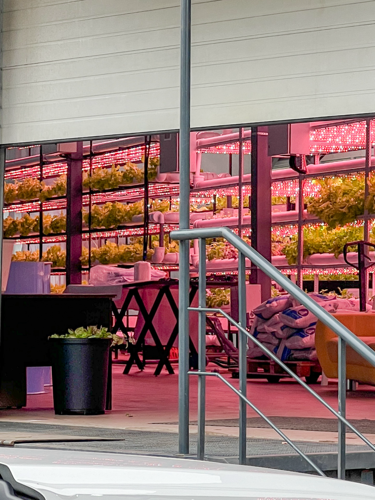 Аквапонная ферма | Сетка — социальная сеть от hh.ru