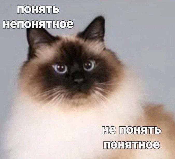 Если бы сегодняшний день был картинкой | Сетка — социальная сеть от hh.ru