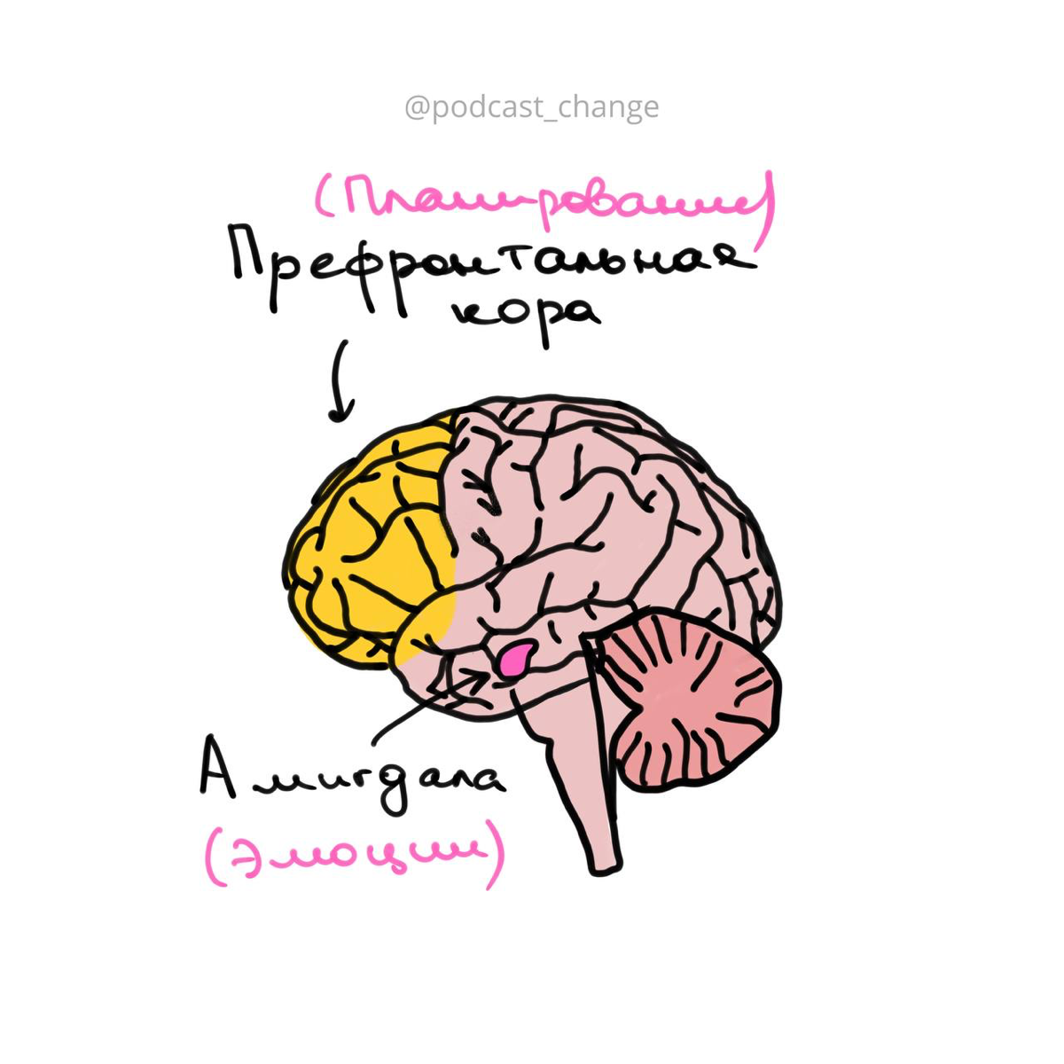 Как работает тревога с точки зрения мозга и что с ней делать? 🧠
Сделала карточки с тезисами по моему подкасту на эту тему. Послушать можно тут: https://change.mave | Сетка — социальная сеть от hh.ru