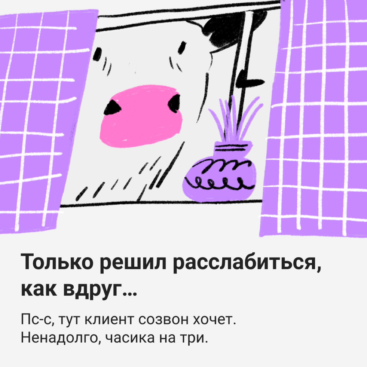 🐮 Коровы не те, чем кажутся | Сетка — социальная сеть от hh.ru
