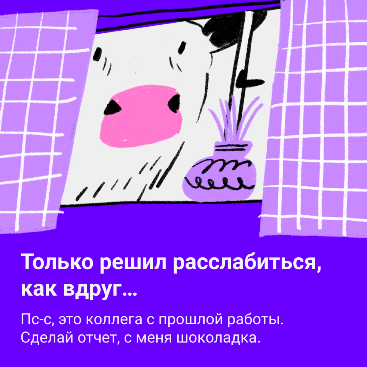 🐮 Коровы не те, чем кажутся | Сетка — социальная сеть от hh.ru