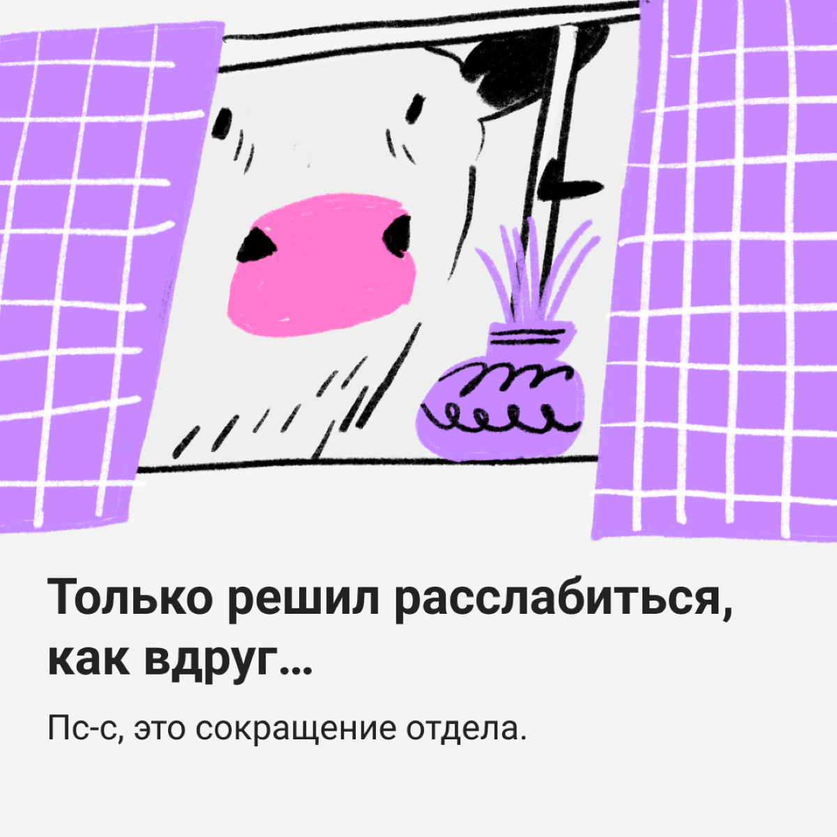 🐮 Коровы не те, чем кажутся | Сетка — социальная сеть от hh.ru