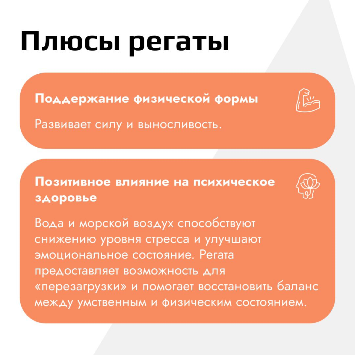 Наша команда завершила уже третий сезон регат! 🔥 | Сетка — социальная сеть от hh.ru