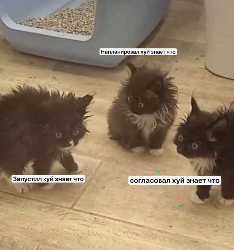 Когда с коллегами в пятницу обсуждаете итоги работы за неделю😄 | Сетка — социальная сеть от hh.ru