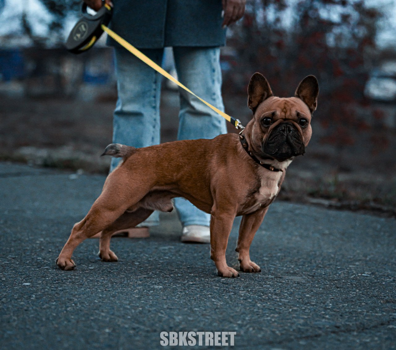 Чуть камеру не сожрал 🐶
❤️ sbkstreet | 🔵дать буст каналу | Сетка — социальная сеть от hh.ru