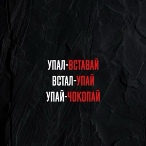 Вадим Земляков | Сетка — социальная сеть от hh.ru