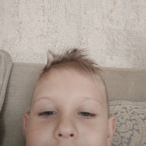 Михаил Фейтенгеймер