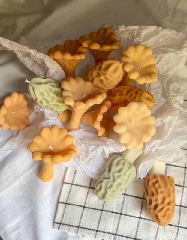 Люблю создавать уют вокруг себя🍮🕯️🥨
Всегда обустраиваю свой угол на свой вкус: плакаты, букетики сухоцветов, гирлянды ииии *свечи | Сетка — социальная сеть от hh.ru