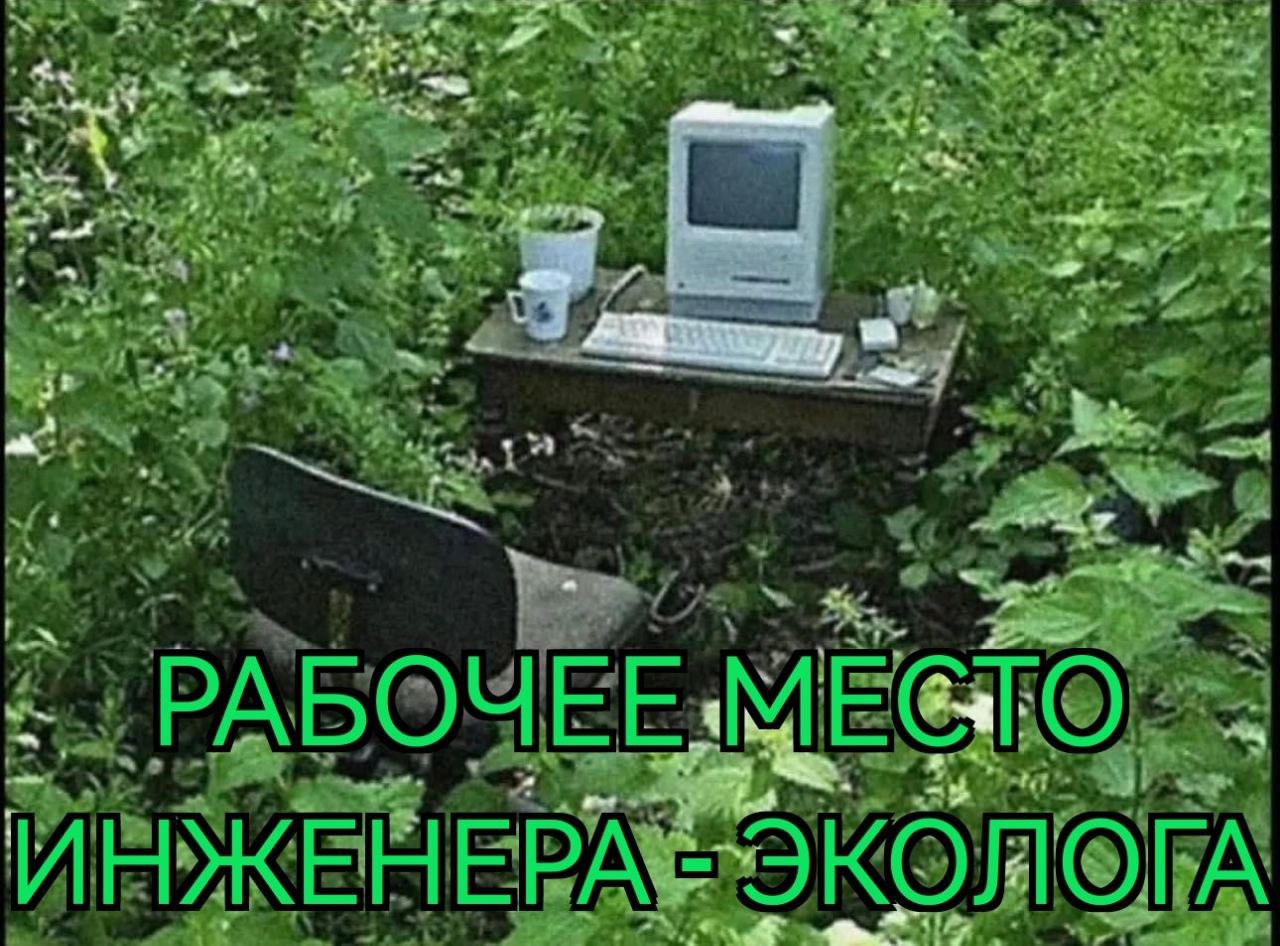 кто это вообще? | Сетка — социальная сеть от hh.ru