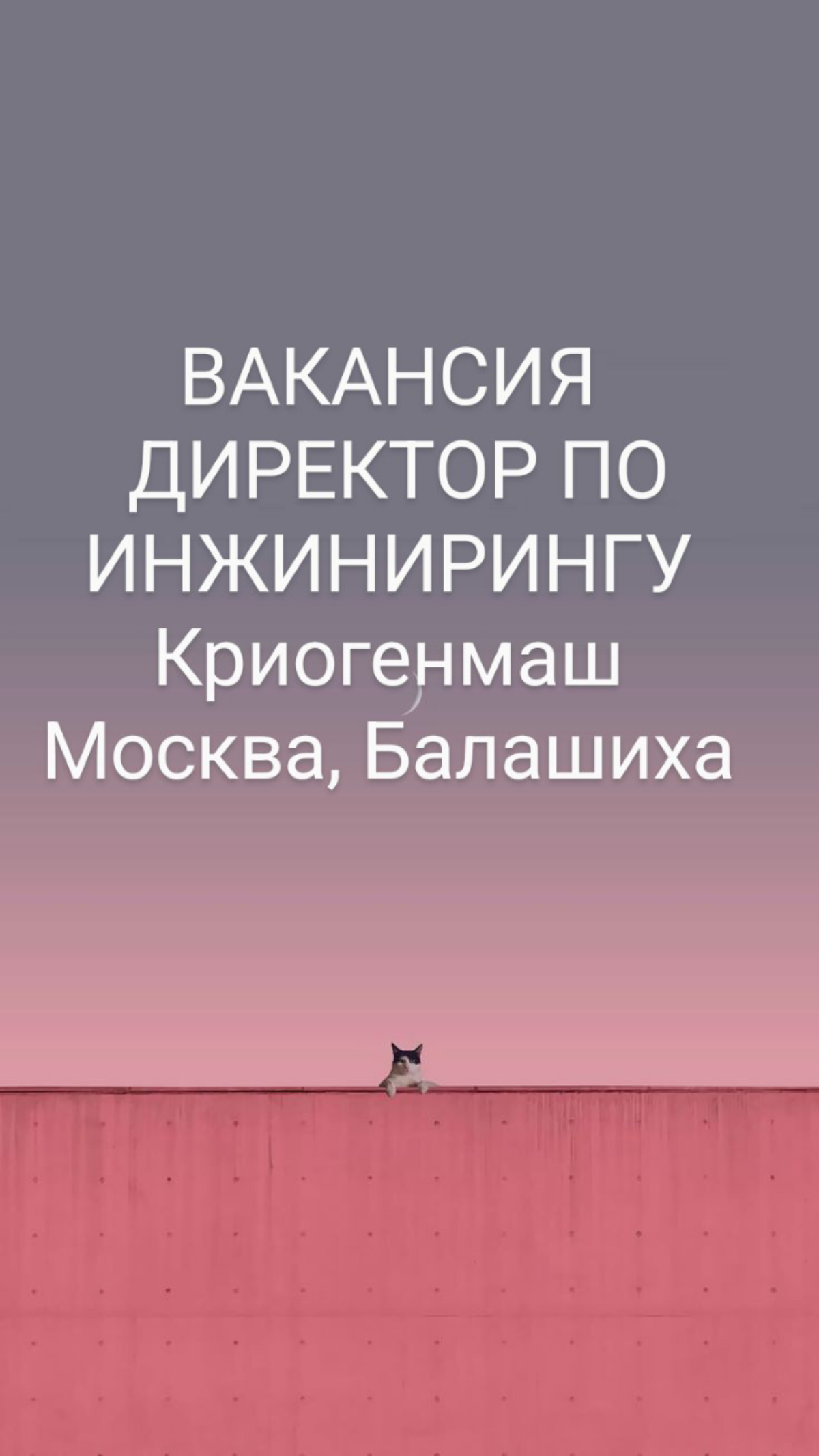 #ВАКАНСИЯ: ДИРЕКТОР ПО ИНЖИНИРИНГУ
КОМПАНИЯ: на предприятие Криогенмаш (www.cryogenmash | Сетка — социальная сеть от hh.ru