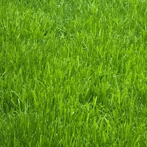 Артур Юсупов