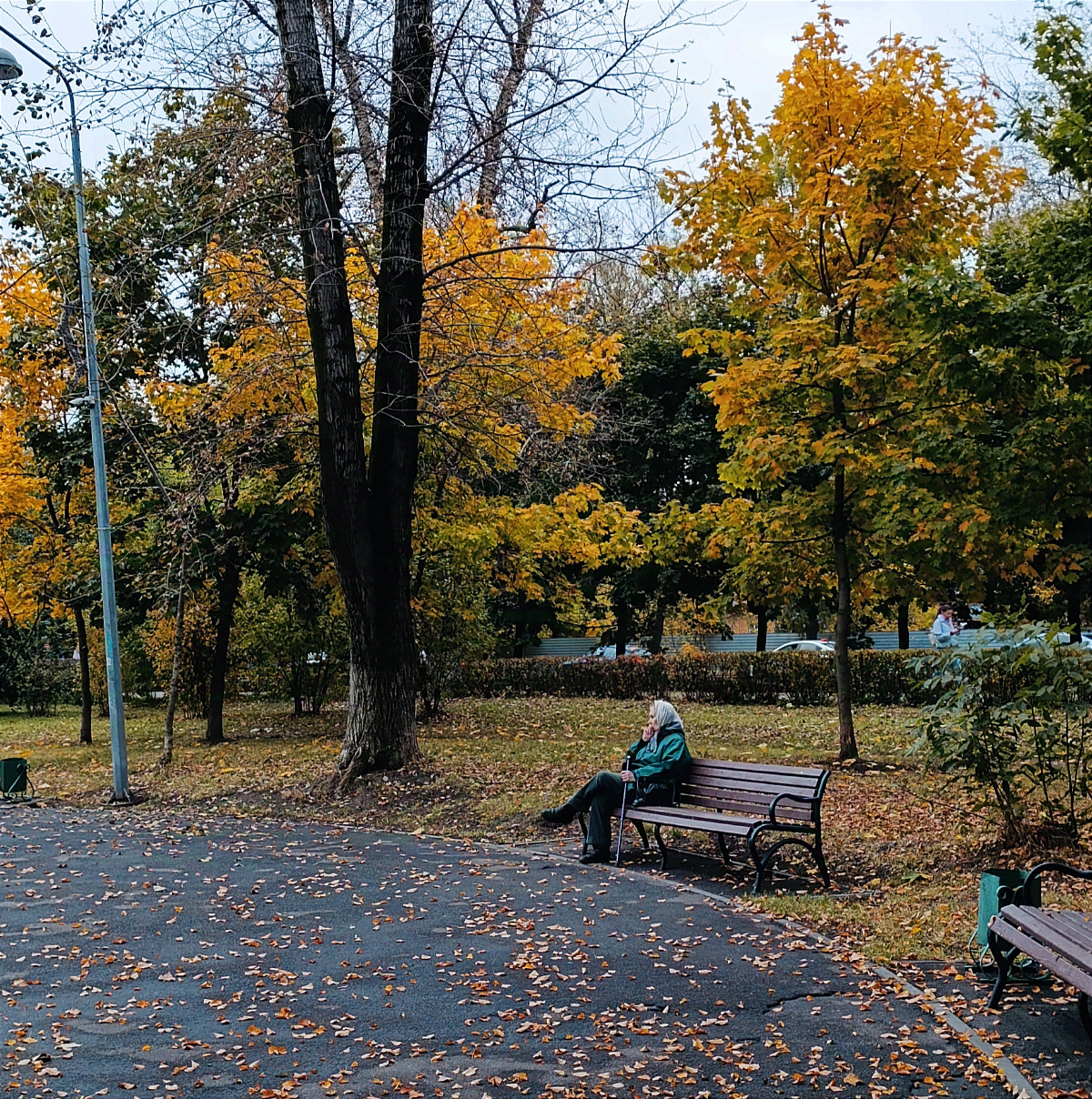 Осенняя атмосфера, фотографировала для выставки | Сетка — социальная сеть от hh.ru